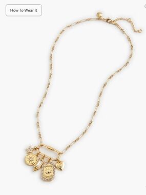 Jcrew Carabiner charm necklace NWT